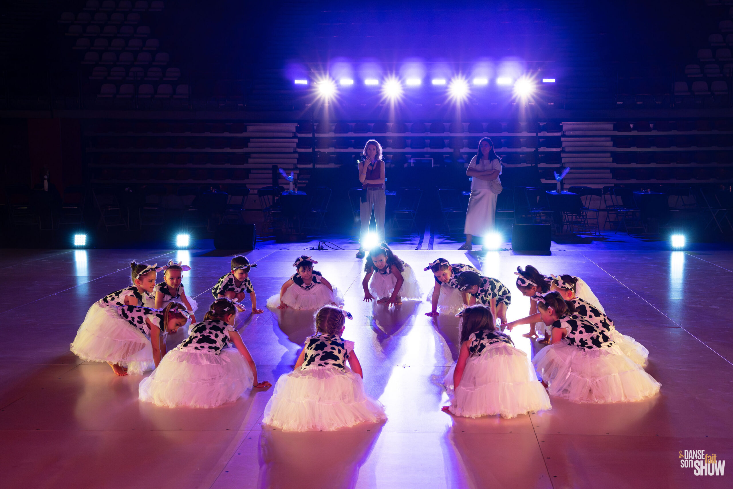 Public et ambiance spectacle La Danse fait son Show 2026